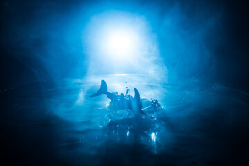Fish in Aquarium. Water splash on dark foggy background. Selective focus.