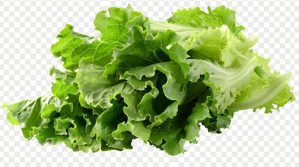 fresh green lettuce leaves cutout isolated on transparent (PNG) background