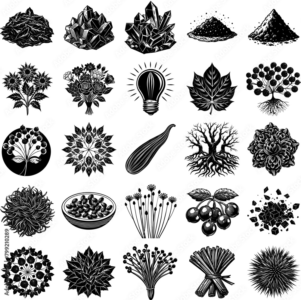 Poster various species of plants and trees are depicted in this set of vector illustrations. the image show