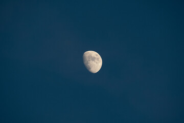 Moon Creations