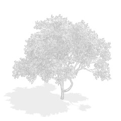 Axonometric tree, cad tree