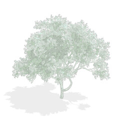 Axonometric tree, cad tree