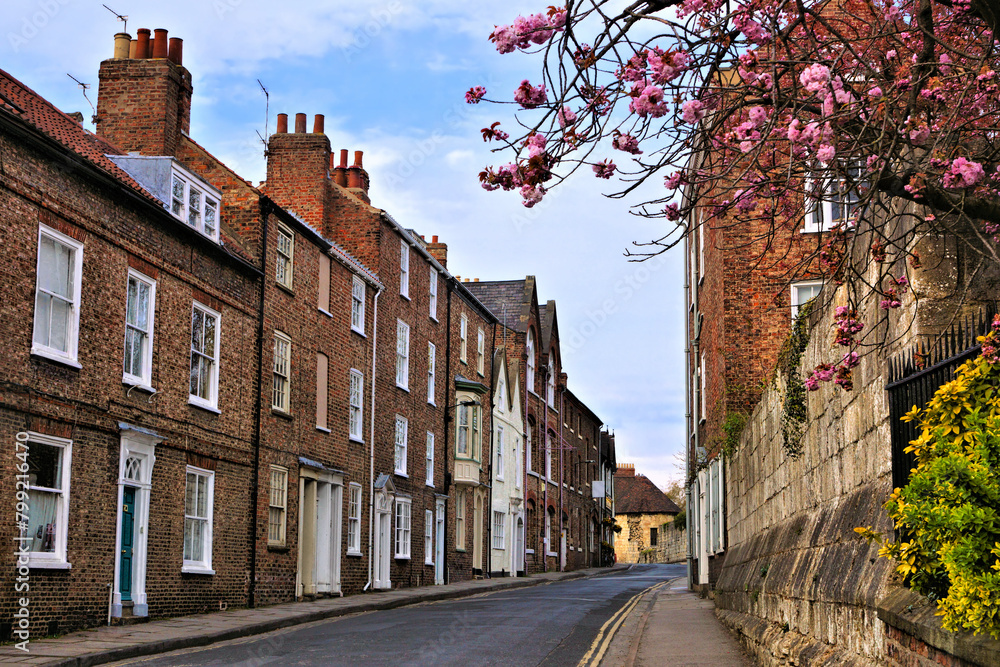 Wall mural old brick buildings along a street in the old town of york, england with pink spring flowers