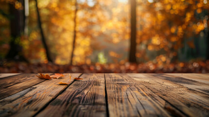 Scenic view of an empty wooden deck with vibrant autumn leaves and soft sunlight