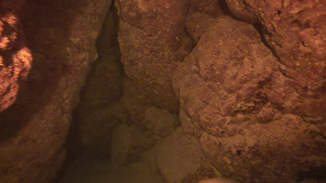 Snapper Ehrenberg fish in underwater cave of Red Sea. Amidst rugged beauty of Red Sea, underwater cave with snapper Ehrenberg fish invites you to explore its hidden wonders.