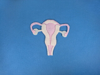 Cut out felt textured design shaped like a cervix on a blue felt background. World Ovarian Cancer...