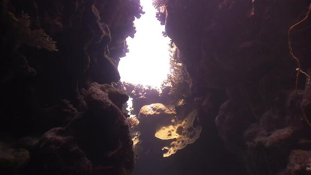 Underwater cave with coral in Red Sea. Under sun, underwater cave is mesmerizing. Flooded cave, illuminated by the sun, is tempting.