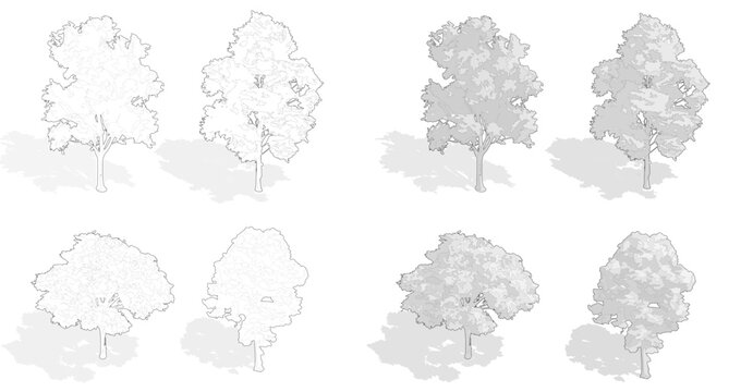 set of isometric trees, axonometric trees