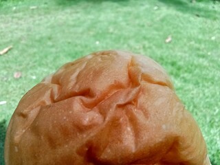 Close up bread grass background.