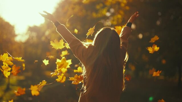 Young woman having positive good mood throwing fallen maple leaves in air in sunny autumn weather in park, back view. Outdoors leisure entertainment in fall season, playing with foliage concept.