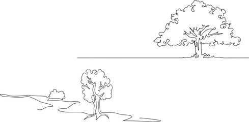 Minimal style cad tree line drawing, Side view, set of graphics trees elements outline symbol for architecture and landscape design drawing