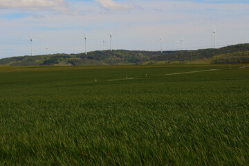 Image of wind generators against a background of green fields.