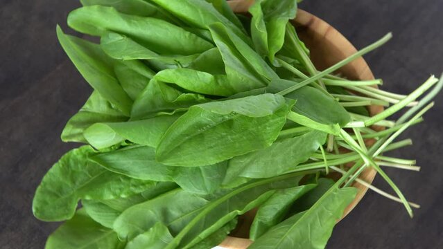 Sorrel green leaves in a wooden bowl. Sorrel for making herbal soup food. Rumex acetosa plant salad