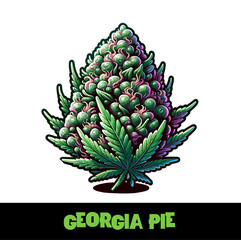 Vector Illustrated Georgia Pie Cannabis Bud Strain Cartoon