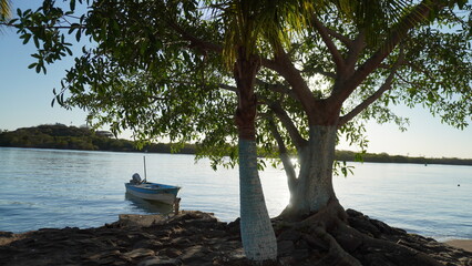 disfrutando el atardecer