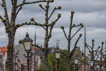 Frühling in Rotterdam