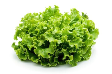 Fresh and Healthy Iceberg Lettuce on White Background. Perfect for Copy Space, Diet