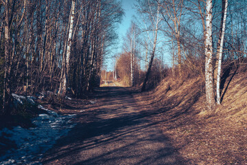 Former Skreiabanen Railroad, now a bicycling path, at Vestbygda.