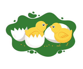 Chickens, eggs, eggshells. Farm, pets. Cute baby chickens. Vector illustration, background isolated.