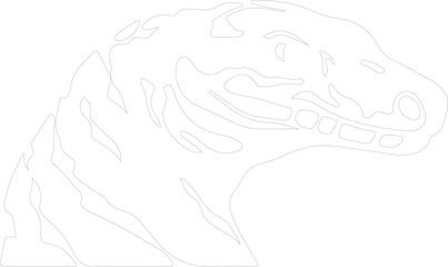 African rock python outline