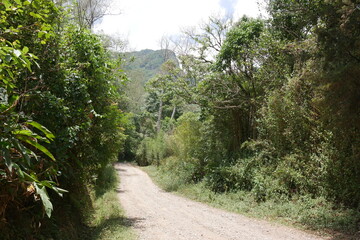 Straße in San Antonio in der Berglandschaft von Escazú bei San José in Costa Rica
