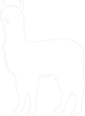 alpaca outline