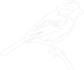 American tree sparrow outline