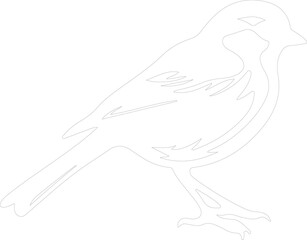 American tree sparrow outline