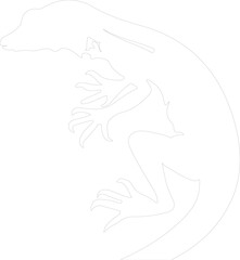 anole outline