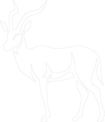 antelope outline