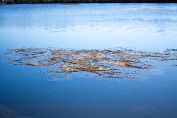 Plastic pollution of the lake plastic waste in water environmental crisis