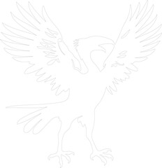 Archaeopteryx outline