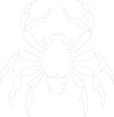 arthropod outline