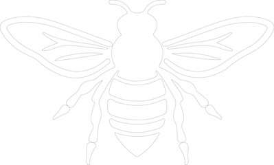 bee outline