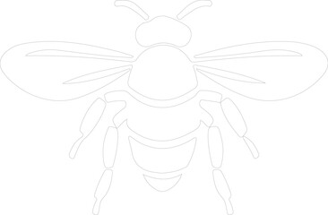 bee outline