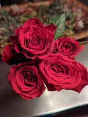 red roses