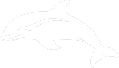 Obraz premium beluga whale outline