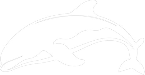 beluga whale outline