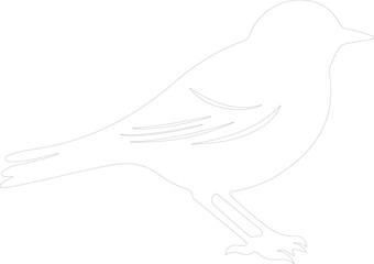 bird outline