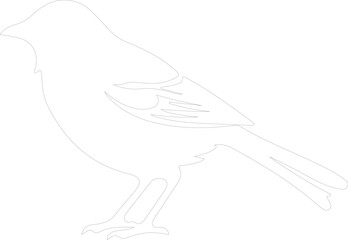 Fototapeta premium bird outline