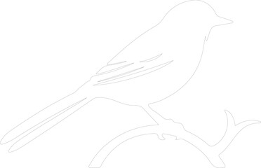 Fototapeta premium bird outline