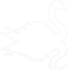 black swan outline