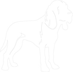 Obraz premium bloodhound outline