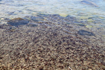 The color of water in the Mediterranean Sea in shallow water. Natural abstract background.