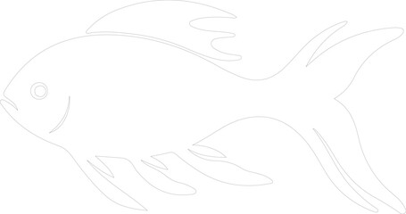 Fototapeta premium bonyfish outline