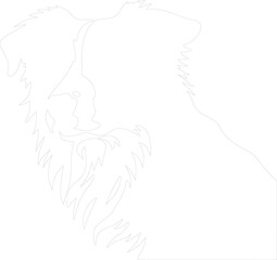 bordercollie outline