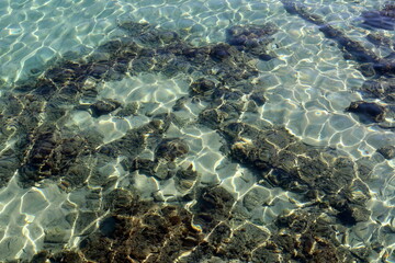 The color of water in the Mediterranean Sea in shallow water. Natural abstract background.