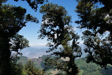 Tropischer Nebelwald am Berggipfel  Cerro Piedra Blanca in der Bergregion bei Escazú in Costa Rica