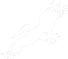 Obraz premium brownpelican outline