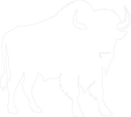 buffalo outline